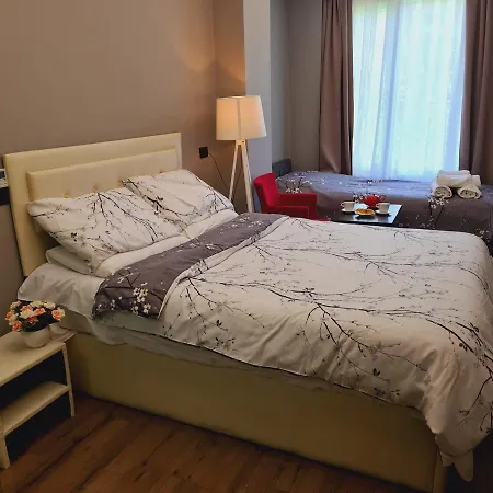 T Hotel City Tirana - Hotel Driti 3*